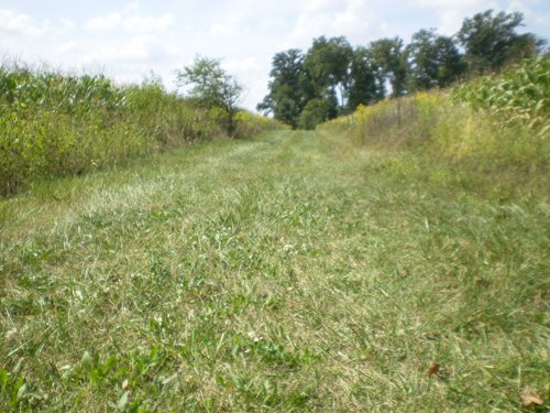 Property photo 4 - 40 Acres in 4 Tracts - Great Location!